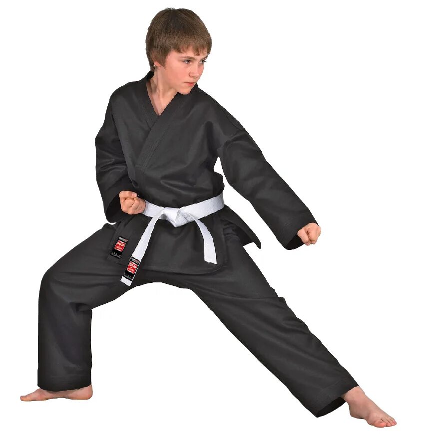 Кимоно для дзюдо. Кимоно велиев дзюдо. Кимоно hayashi osaka 003-1150. Adidas champion 2 кимоно. Костюм кимоно карате шокотан.