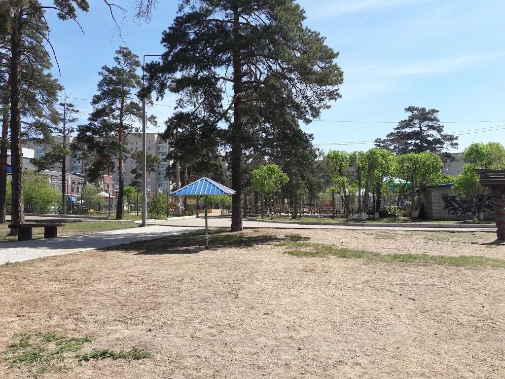 Парк пионеров курск. Шахматный парк чита. Сообщение про парк пионеров в чите. Парк пионеров чита. Пионерский парк чита.
