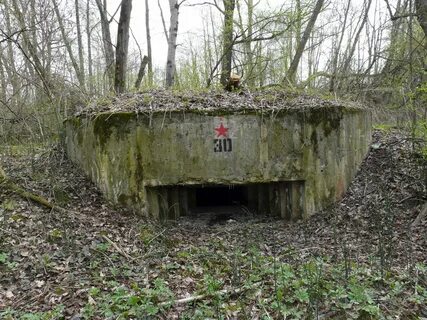 Дот 30