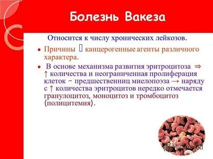 Лейкоз прогноз жизни у взрослых