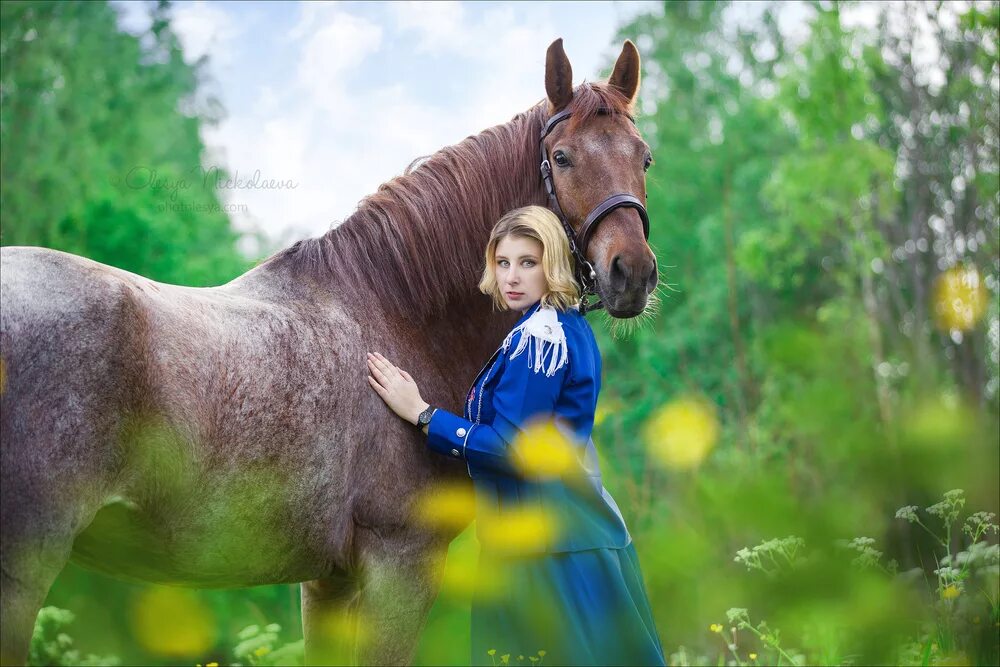 Верховой человек. Человек на лошади. Человек конь. Лошадь итчеловек. Лошадки и люди.