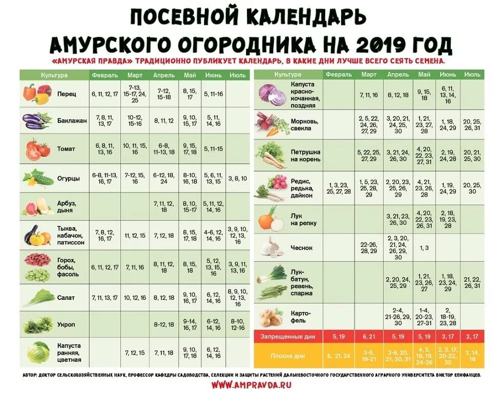 Лунный календарь запрещенные дни. Посевной календарь. Календарь посадок. Посевной календарь таблица. Посевной посадочный календарь.