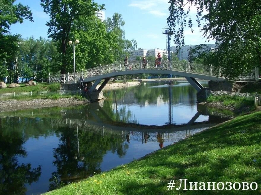 Лианозовский парк Москва. Лианозовский парк пруд. Лианозовский ПКИО. Лианозовский ландшафтный парк.