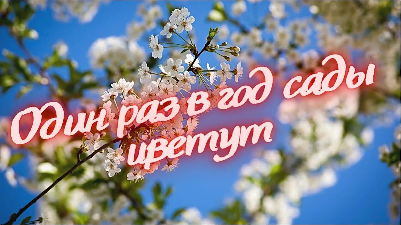 Дэнс один раз в год сады цветут. Один раз в год сады. Один раз в год сады цветут. Один раз в год сады цвету. Песня один раз в год сады цветут.