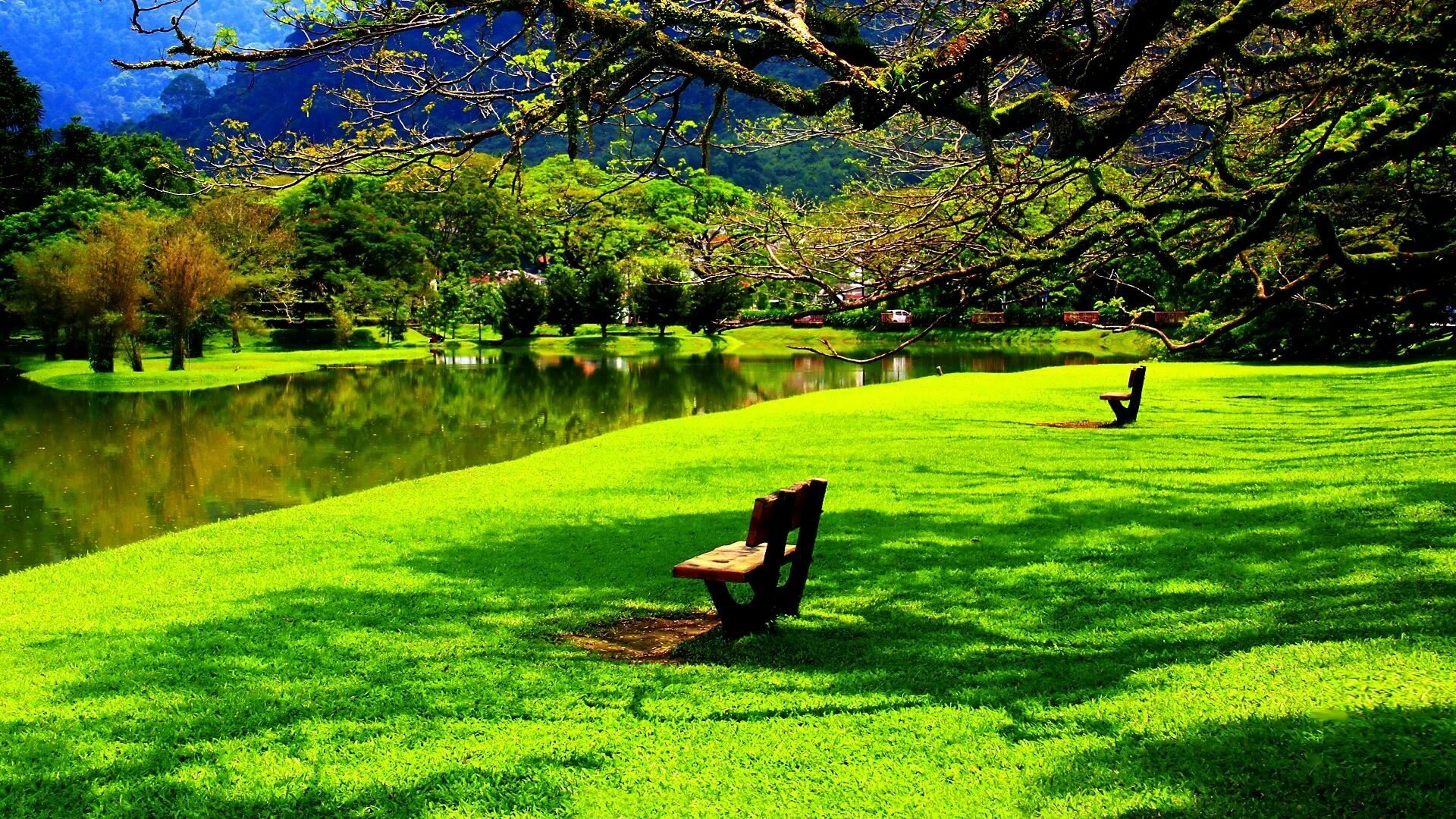 It s a beautiful place