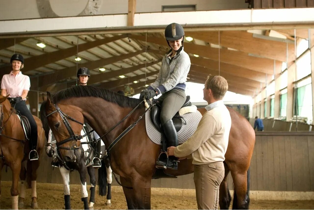 Верховая езда называется. Конный лагерь Мюнстерланд. Германия верховая езда конный центр. Тренер конного спорта. Тренировка лошади.