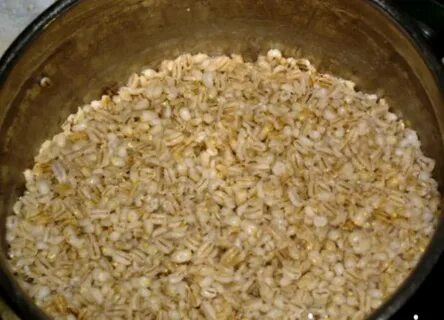 Из чего делают перловую кашу