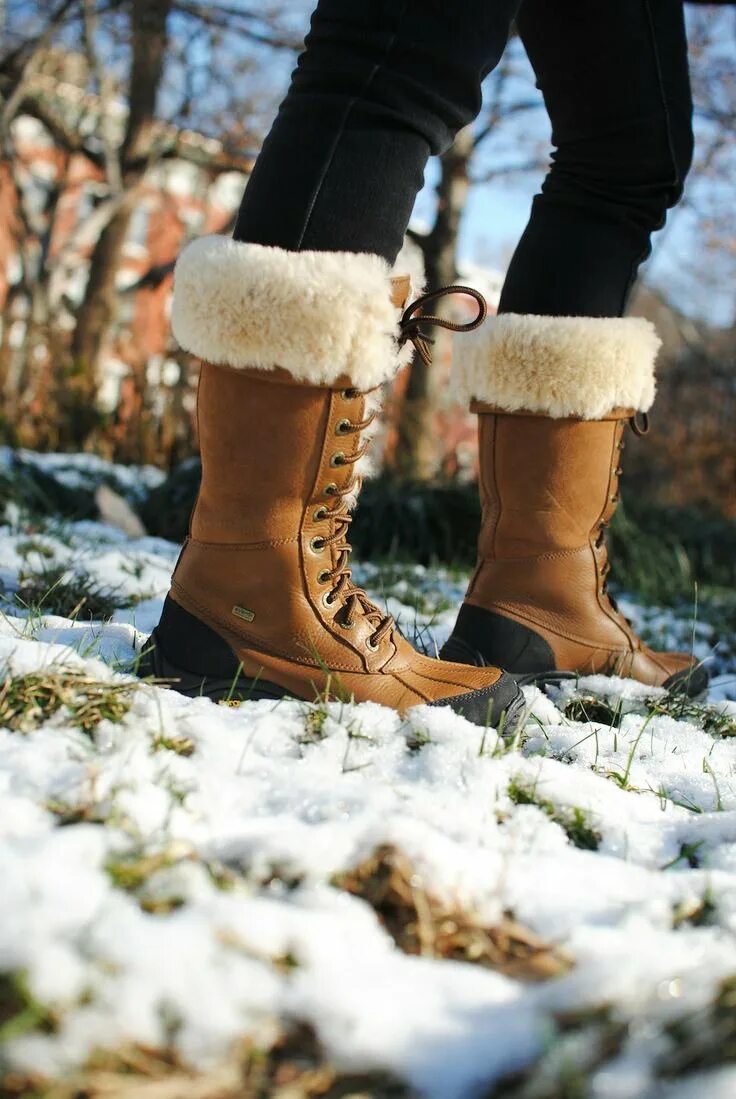 Сапоги Snow Boots. Martanni Snow Boots угги. Зимние сапоги UGG Adirondack. Ботинки обувь женская Винтер зимние.