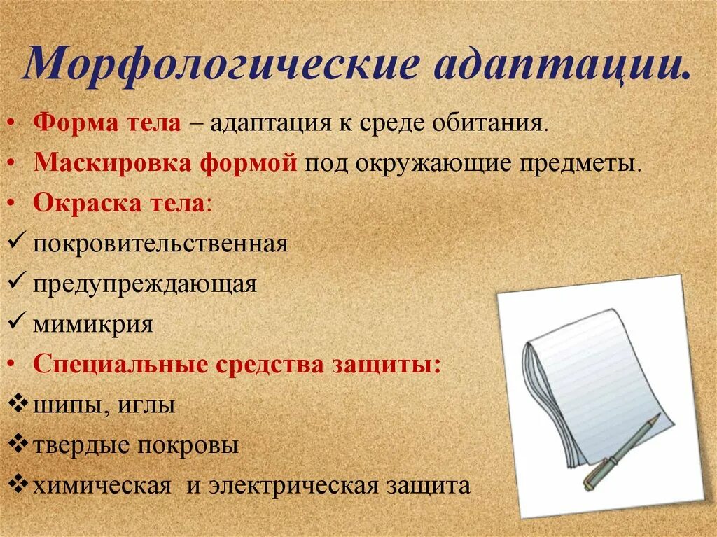 Выберите пример морфологической адаптации Картинки К МОРФОЛОГИЧЕСКИМ АДАПТАЦИЯМ ОТНОСЯТ