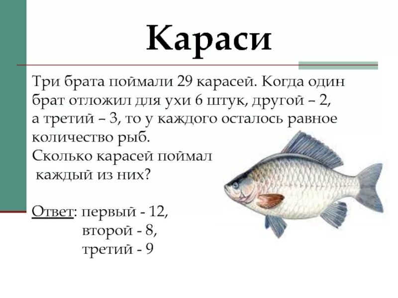 Сколько память у рыбы. Задачи про рыб. Математические задачи про рыбы. Карась кратко. Память карася.