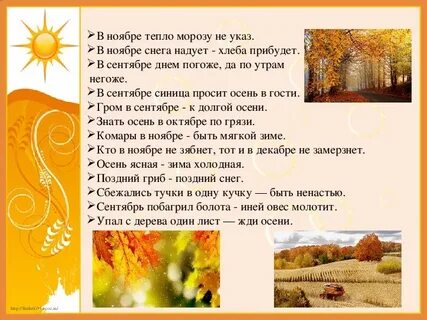 Погожим сентябрьским утром мы мчались