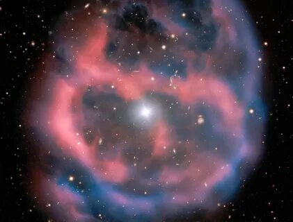 Universe 24