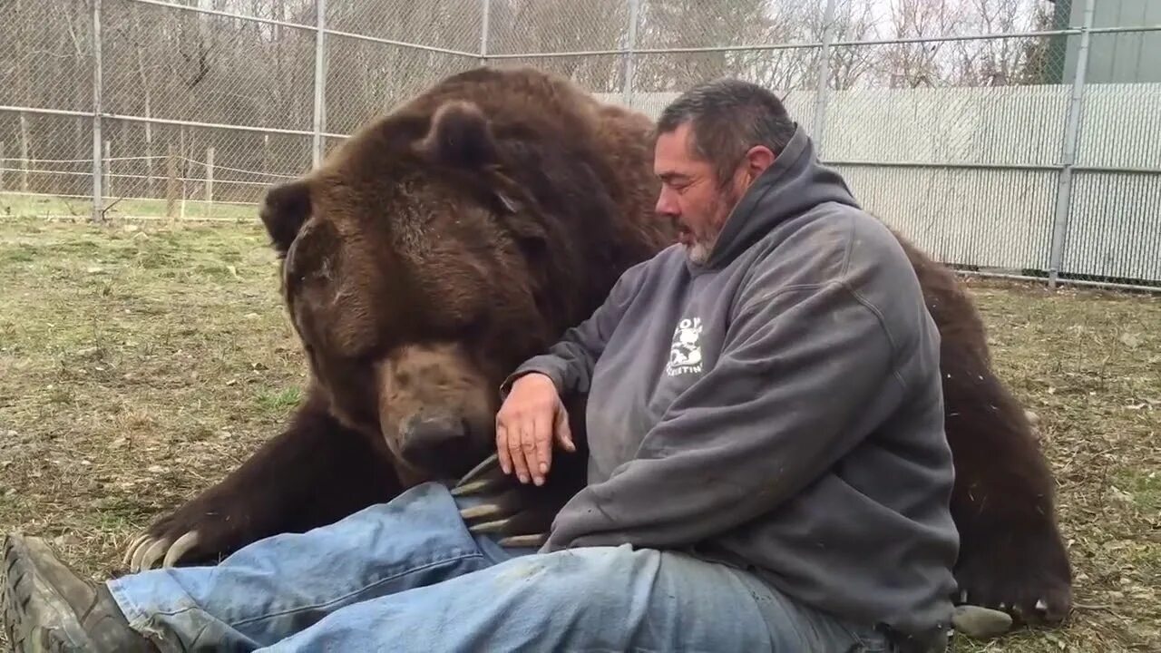 Медведь и человек. В обнимку с медведем. Мужчина медведь. Парни в обнимку с медведем.