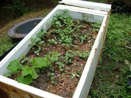 Можно ли использовать старый