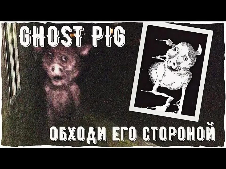 Как выглядит свинтус в реальной жизни Steam-værksted::Свинтус придет
