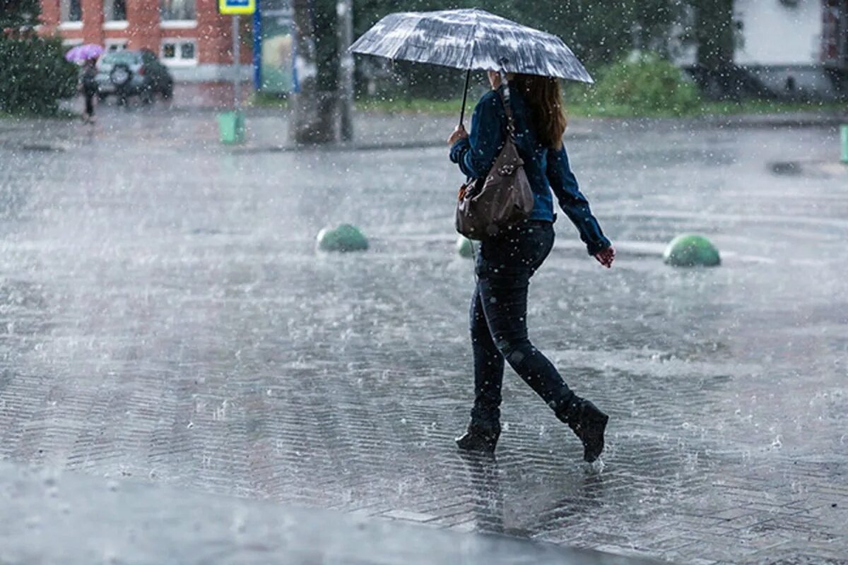 Песня ненастная погода. Стихи про дождь короткие. Rainy sunny. Песня ненастная погода. Песня ненастная погода.