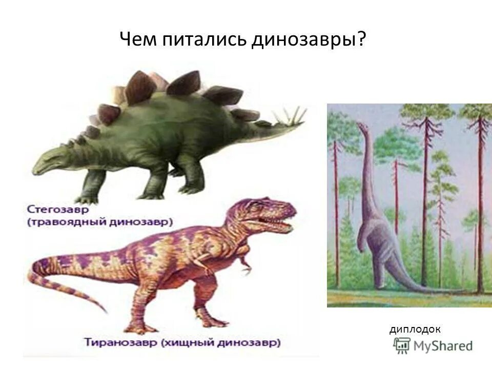 Строго травоядный человек. Динозавры названия. Травоядные динозавры названия. Хищные и травоядные динозавры. Динозавры для детей с названиями.