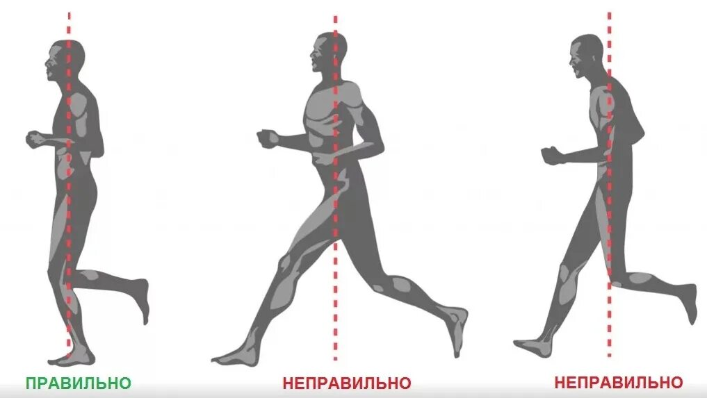 Нормальное движение человека. Техника бега трусцой постановка стопы. движение рук при беге на средние дистанции. техника постановки стопы при беге на длинные дистанции. бег на длинные дистанции постановка стопы.