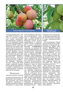 Сливово вишневый гибрид отзывы