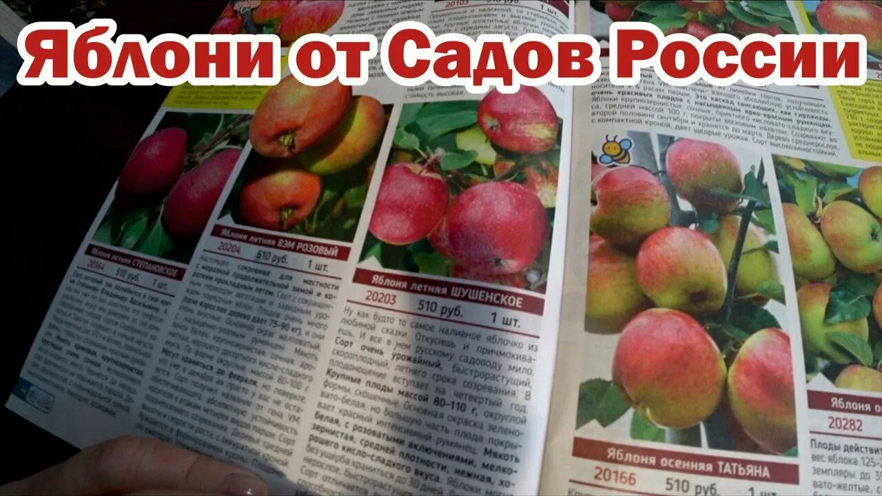 Сады россии каталог 2024