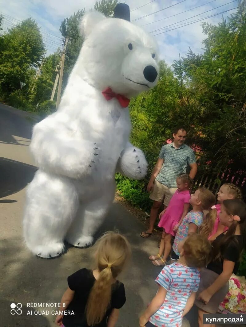 Ростовой мишка. Ростовой мишка на день рождения. Ростовые мишки Барнаул. Ростовой мишка Гришка.