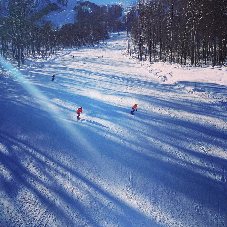 Лыжные трассы Сочи красная Поляна.
