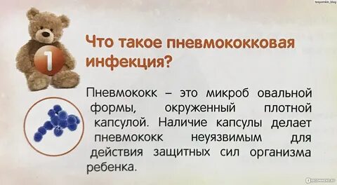 Пневмококковая инфекция отзывы