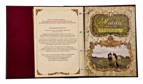 Купили книгу альбом