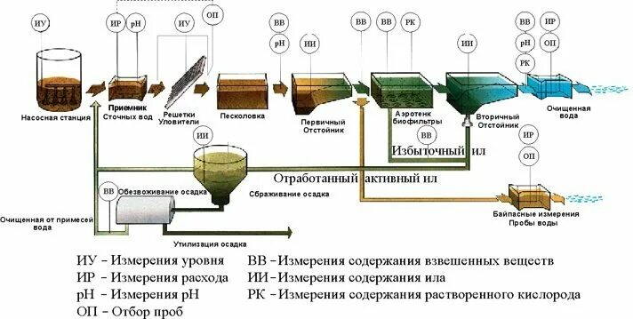 Содержание ила