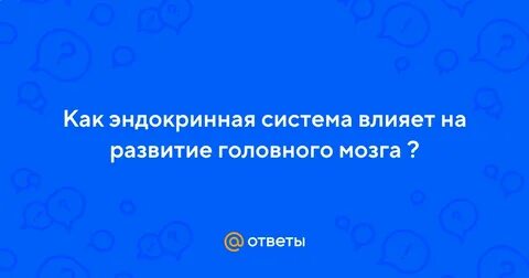 Эндокринная система влияет на развитие головного мозга