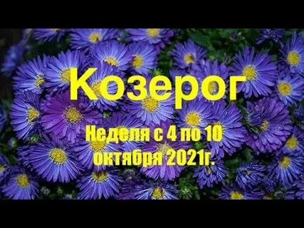10 октября 2021