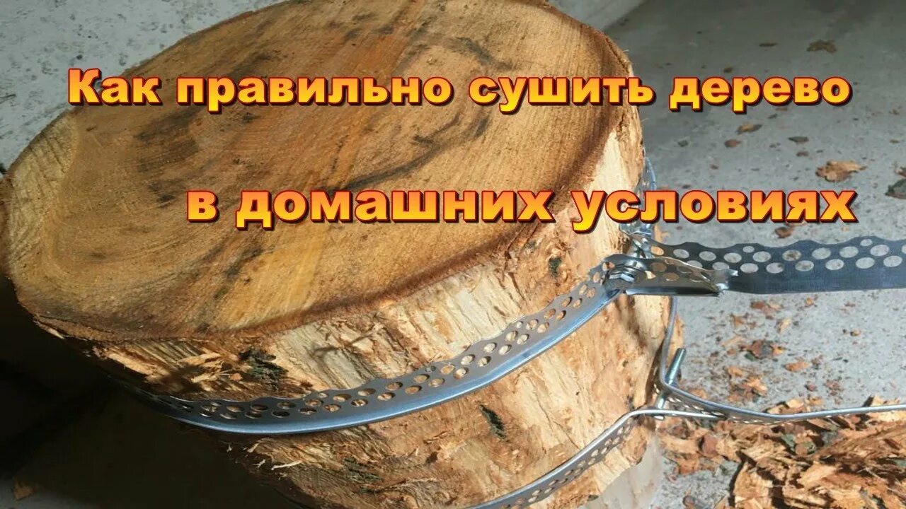 Как засушить дерево на корню без спила. Как высушить дерево в домашних условиях. Как правильно высушить дерево. Как правильно сушить древесину в домашних условиях. Сушка дерева для точения.