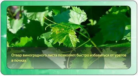 Как настоять на винограде