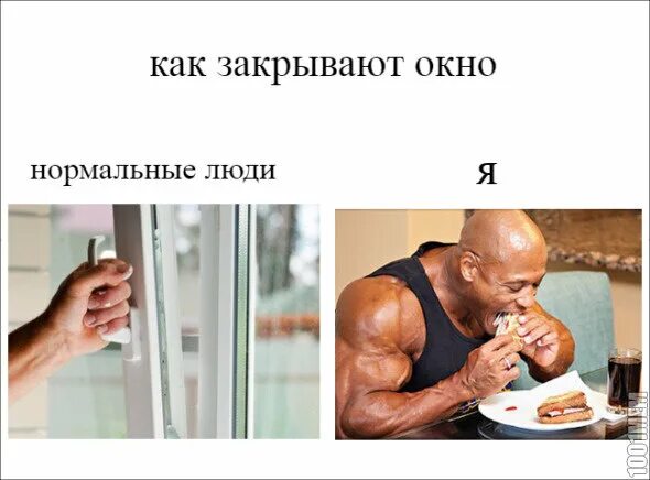 Закрыть окно после тренировки. Углеводное окно. белково углеводное окно. белковое окно после тренировки. углеводное окно после тренировки.