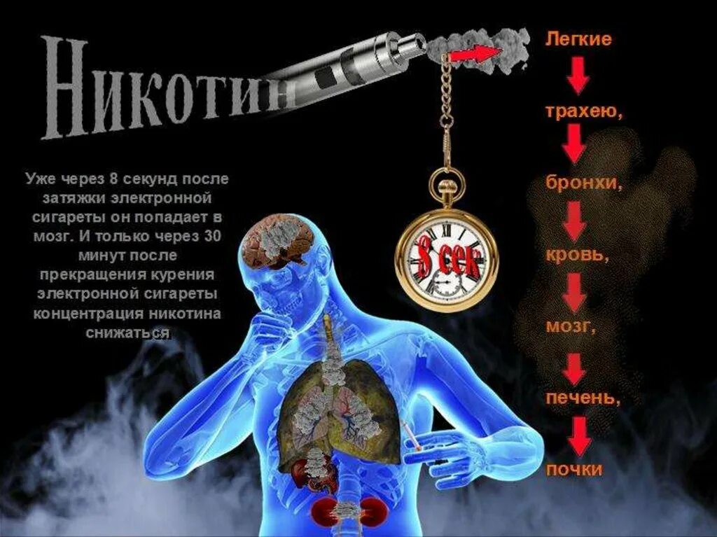 Влияние электронных сигарет на организм. Воздействие электронных сигарет на организм человека. Влияние вейпа на организм. Курение электронных сигарет влияние на организм. Классный час вейп