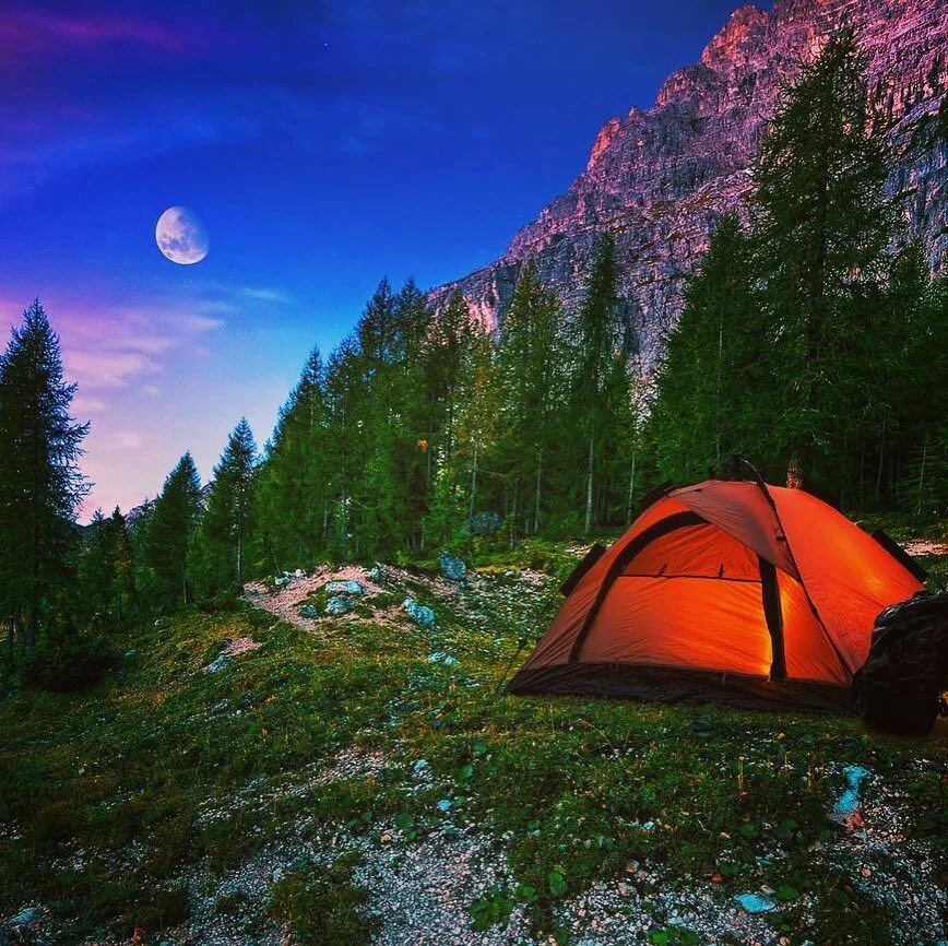 Палатка на природе. Палатка в горах. Хобби походы с палатками. Палатка в горах и цветах.