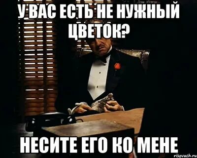 Него ко