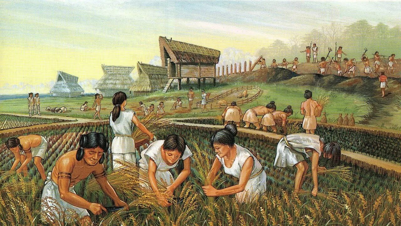 First farming