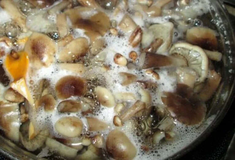 Опята с чесноком на зиму рецепты. Вкусный маринад для опят на зиму. пенка в маринованных грибах. быстро и вкусно посолить опята в домашних условиях. опята в кипящую воду или нет.