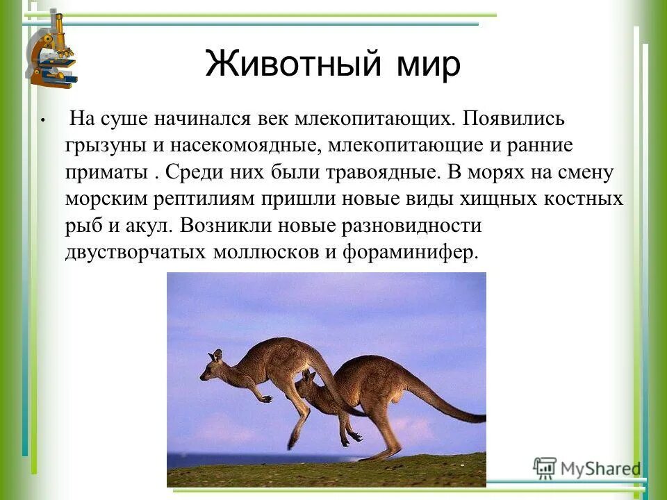 Век млекопитающих. Когда появились млекопитающие период. Эмболотерий. Век млекопитающих. Вымершие млекопитающие срисовать.