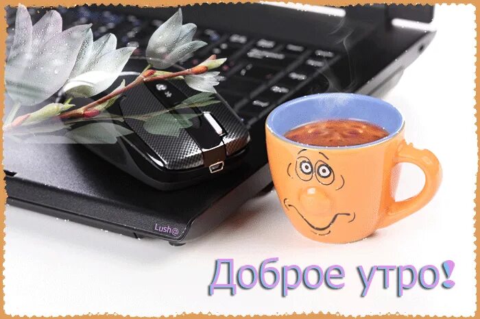 Открытки с добрым утром сыну. Открытки с добрым утром субботы. Открытки с добрым воскресным утром. Доброе утро картинки красивые. Открытки с добрым утром с кофе.