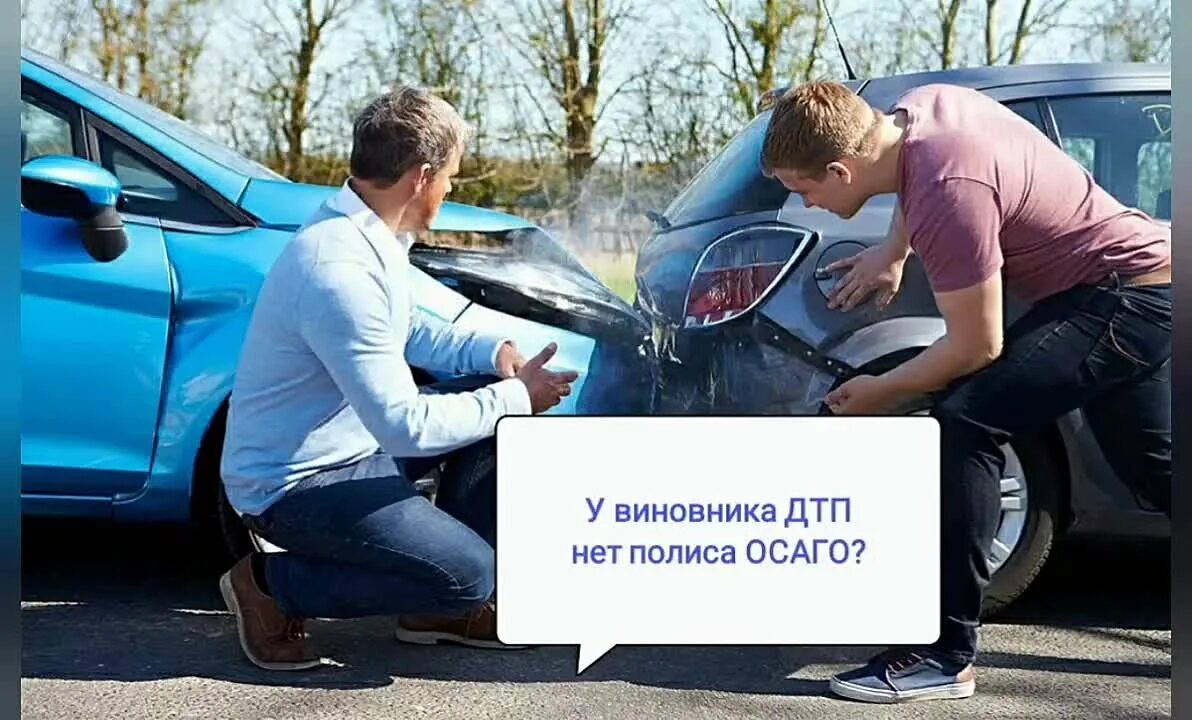 Осаго страховая история. Виновник дтп имеет каско. Автоюрист. Машина осаго. Если у виновника нет осаго.