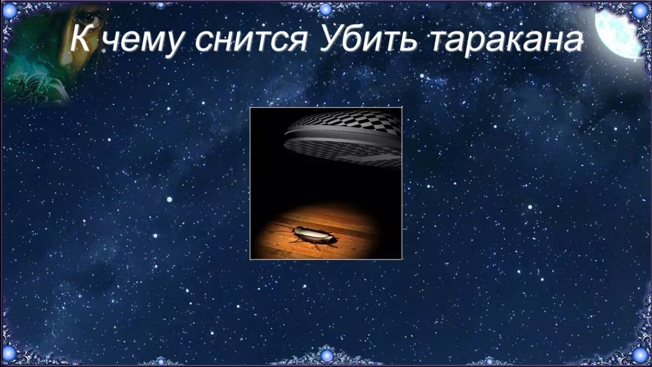 К чему снится много. Видеть во сне насекомых. Тараканы во сне к чему снятся. К чему снятся тараканы во сне женщине. К чему снятся тараканы живые.