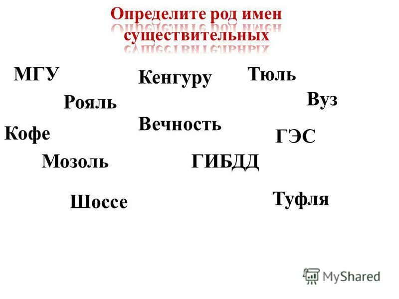 кенгуру род мужской или женский. род имени существительного кенгуру. род существительных кенгуру. грамматические признаки слова кашне. шимпанзе какой род существительного.
