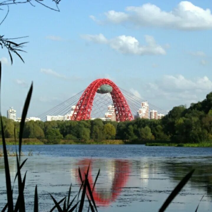 Парк серебряный Бор. Серебряный Бор Москва. Фото серебрянный Бор Москва. Памятник серебряный Бор. Серебряный бор москва хорошевское