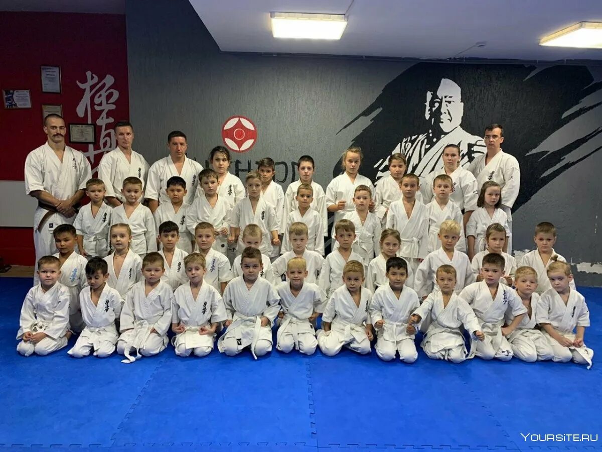 Спортивная организация каратэ. Ешихатцу кио каратэ ренгокай. Спортивная организация каратэ. Шотокан стерлитамак. Спортивная организация каратэ.