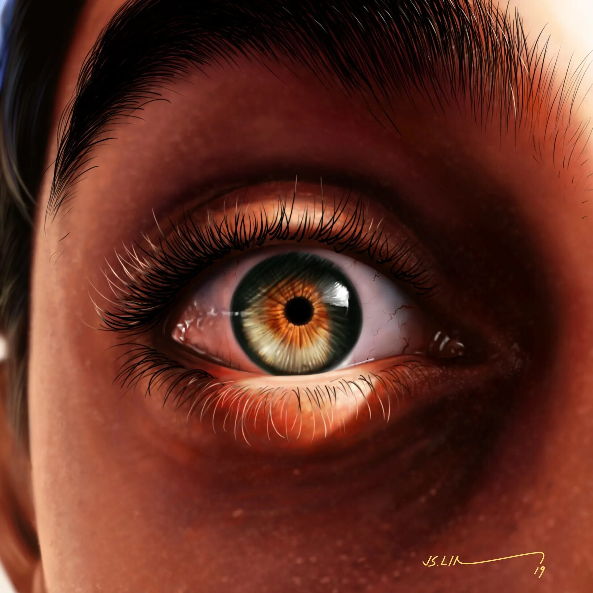 Le yeux