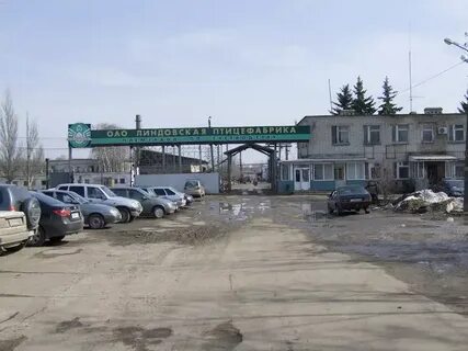 Новгород птицефабрика
