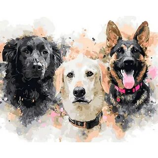 Multi dog