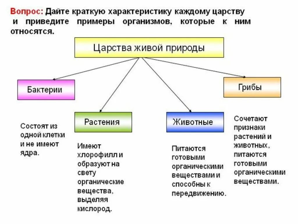 Определите вид приведенных